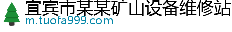 宜宾市某某矿山设备维修站